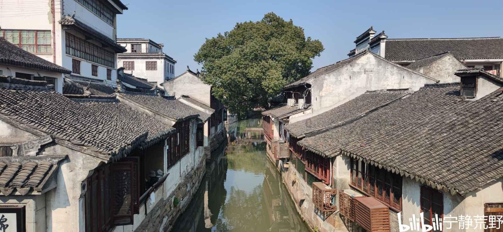 探寻天涯问答交流平台巨峰葡萄盛花期能浇水吗?